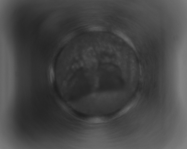 X0000100890061200807081050