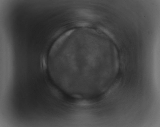 X0000100890062200807081050