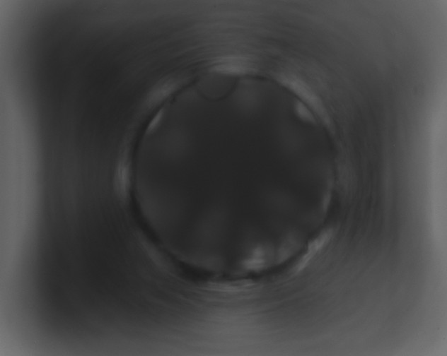 X0000100890063200807081050