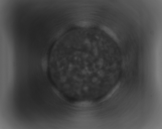 X0000100890065200807081050