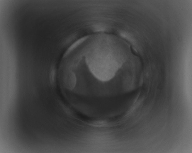 X0000100890066200807081050