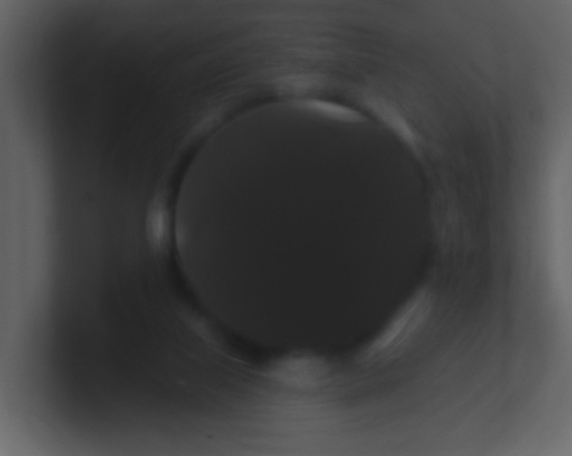 X0000100890067200807081050