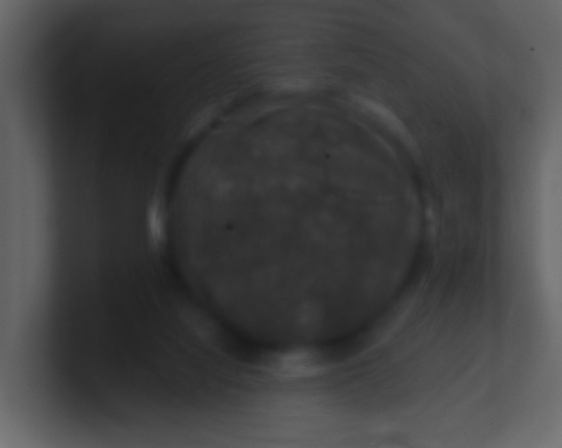 X0000100890068200807081050