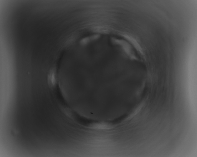 X0000100890069200807081050