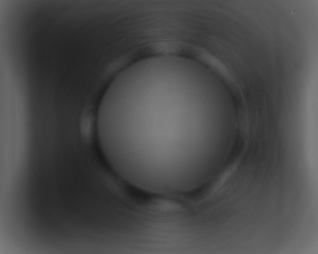 X0000100890071200807081050