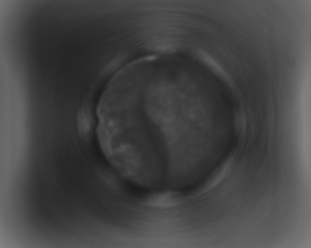 X0000100890072200807081050