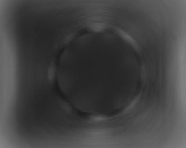 X0000100890073200807081050