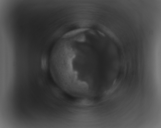 X0000100890074200807081050