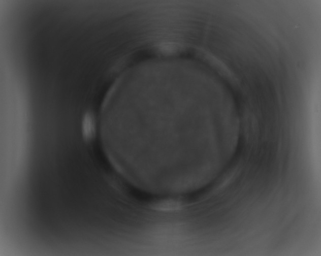 X0000100890075200807081050