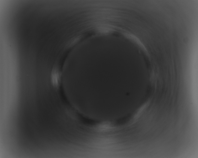 X0000100890076200807081050