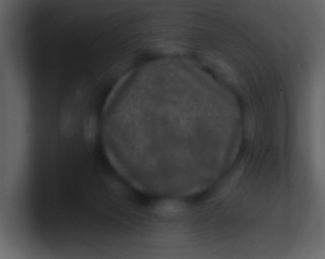 X0000100890077200807081050