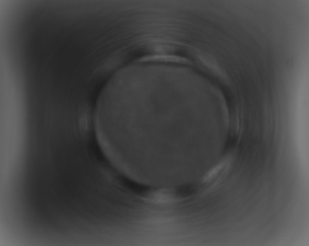 X0000100890078200807081050