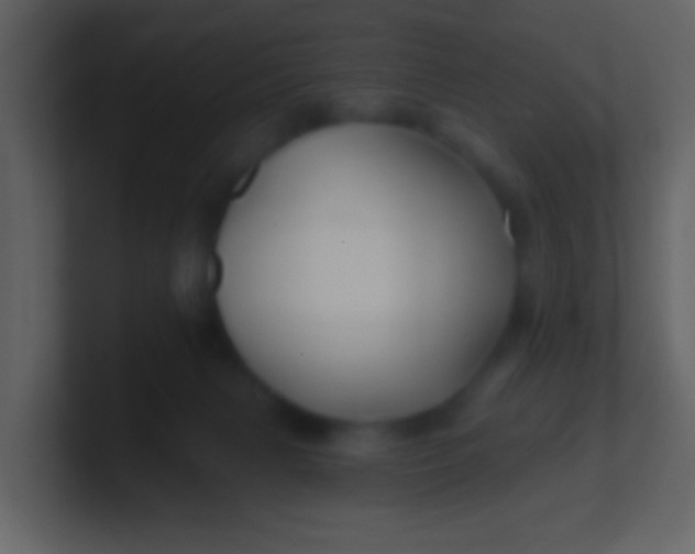 X0000100890079200807081050