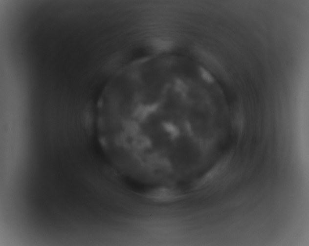 X0000100890082200807081050