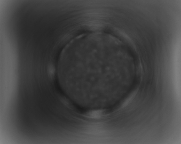 X0000100890084200807081050