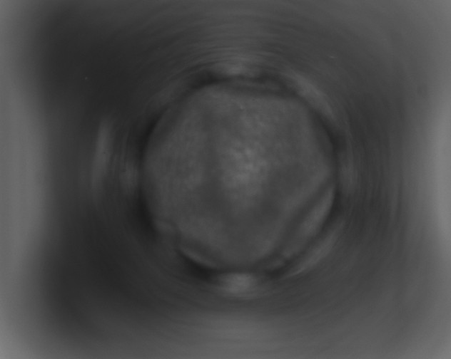 X0000100890085200807081050