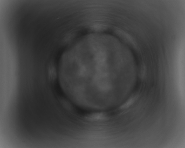 X0000100890086200807081050