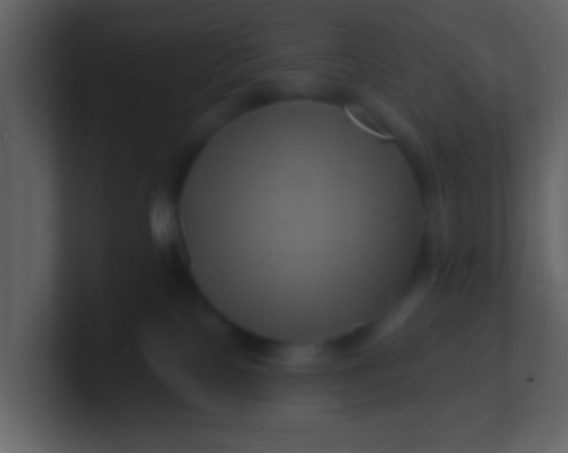 X0000100890089200807081050