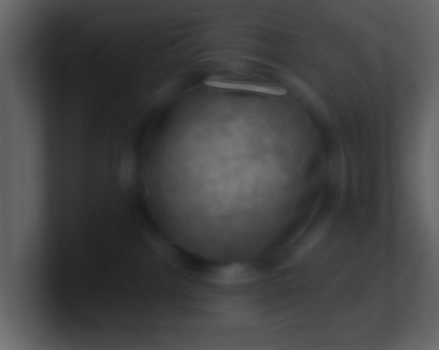 X0000100890092200807081050