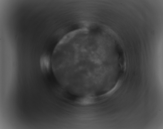 X0000100890094200807081050