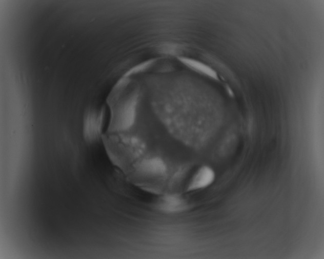 X0000100890095200807081050