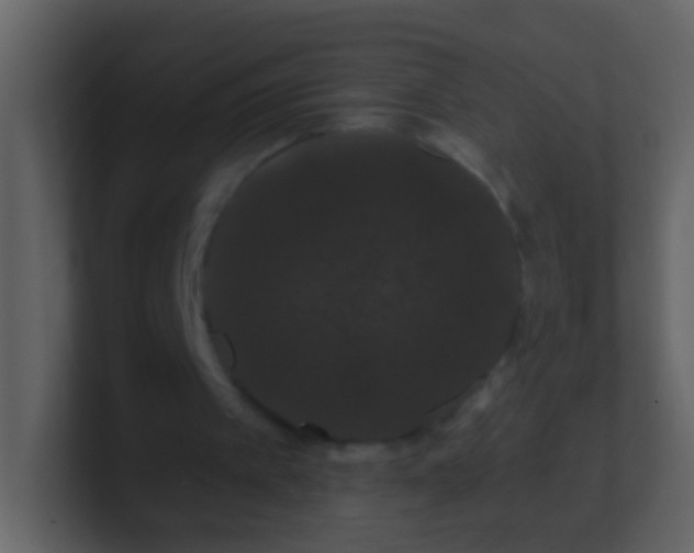 X0000100890097200807081050