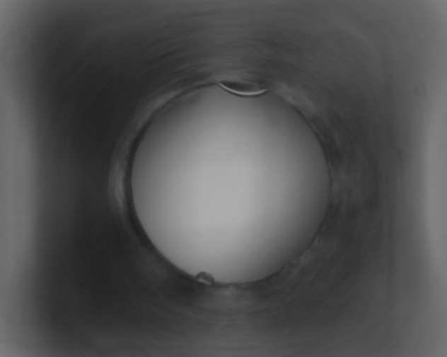 X0000100890098200807081049