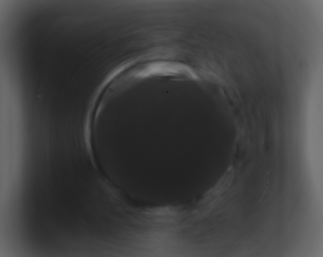 X0000100890100200807081049