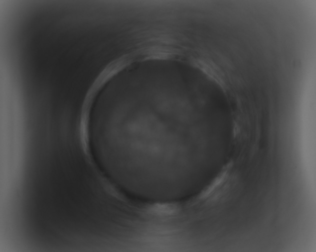 X0000100890101200807081049