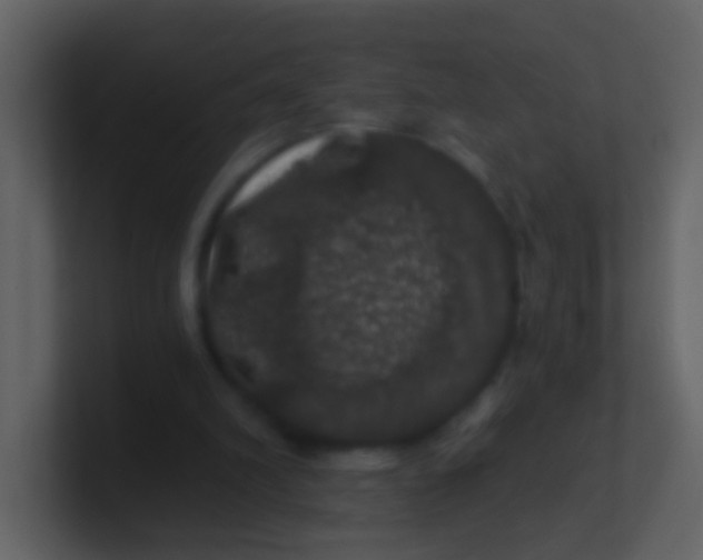 X0000100890102200807081049