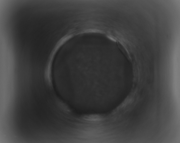 X0000100890104200807081049