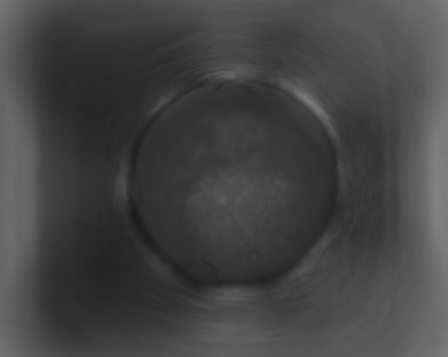 X0000100890105200807081049