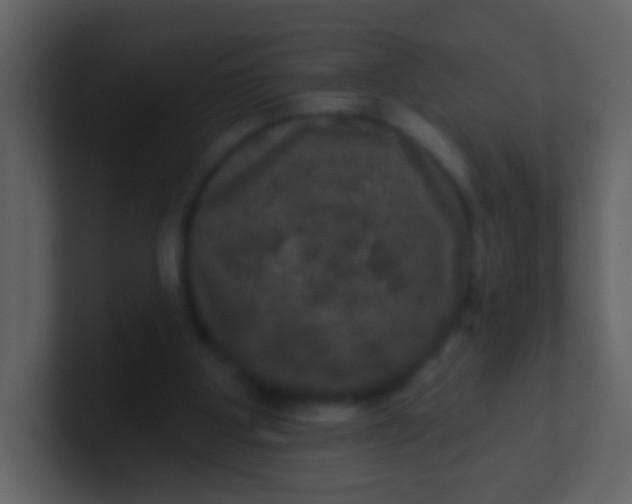 X0000100890107200807081049