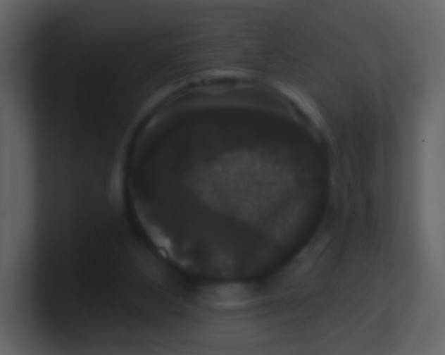 X0000100890108200807081049