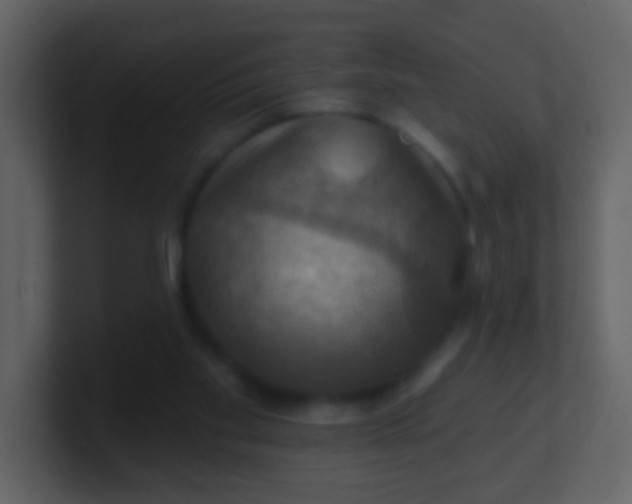 X0000100890109200807081049