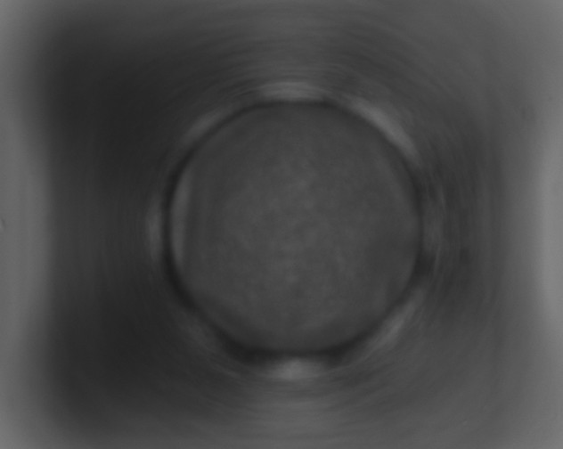 X0000100890111200807081049