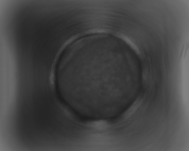 X0000100890112200807081049