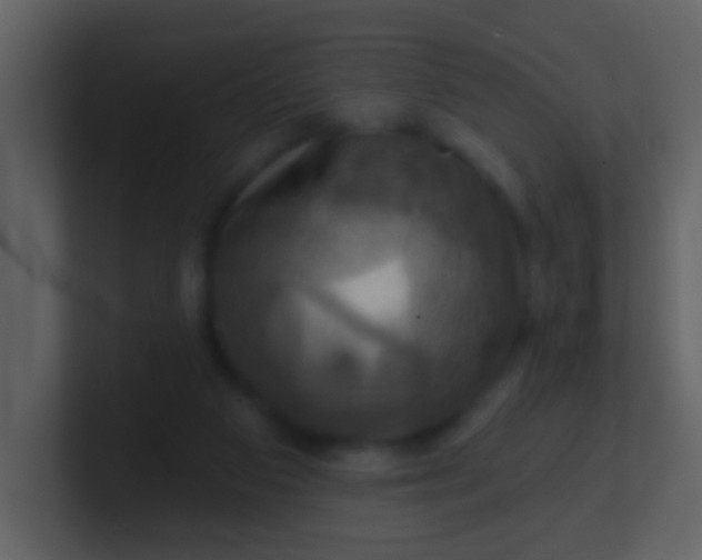 X0000100890113200807081049