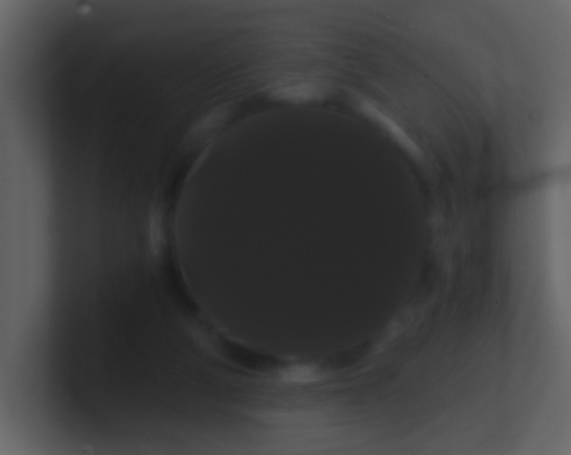 X0000100890114200807081049