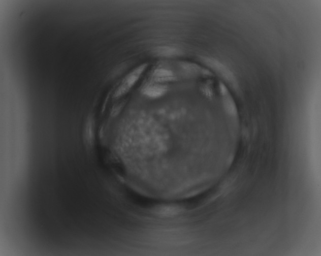 X0000100890115200807081049