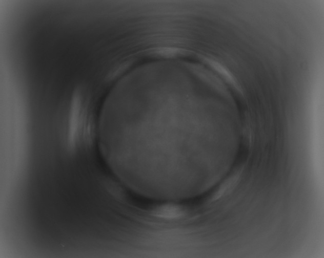 X0000100890119200807081049