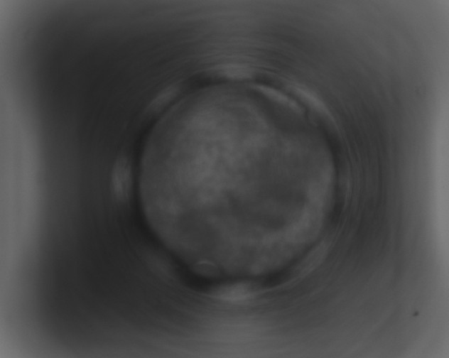 X0000100890120200807081049