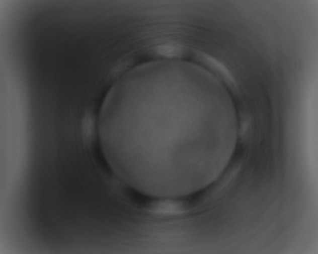 X0000100890121200807081049