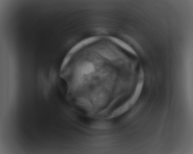 X0000100890123200807081049