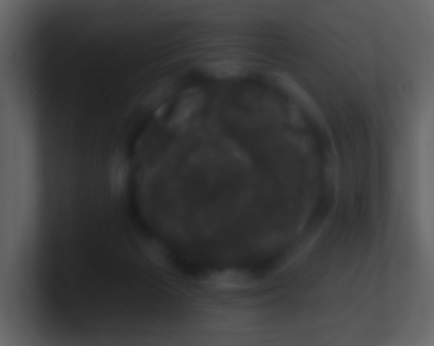 X0000100890125200807081049