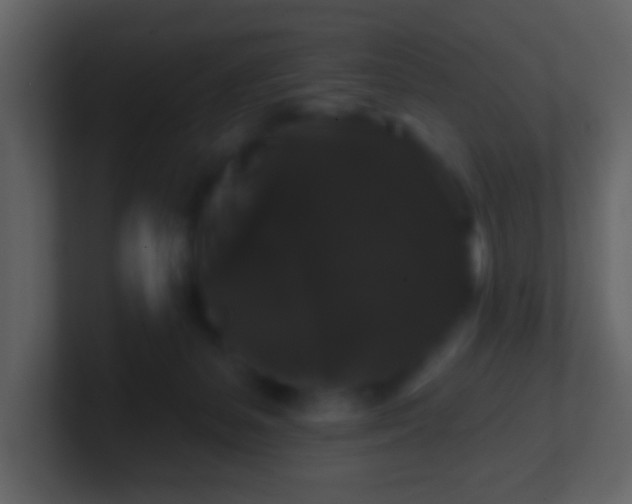 X0000100890127200807081049