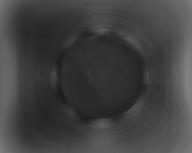 X0000100890128200807081049