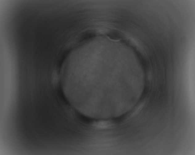 X0000100890129200807081049