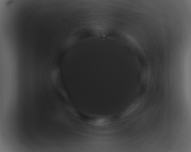 X0000100890130200807081049