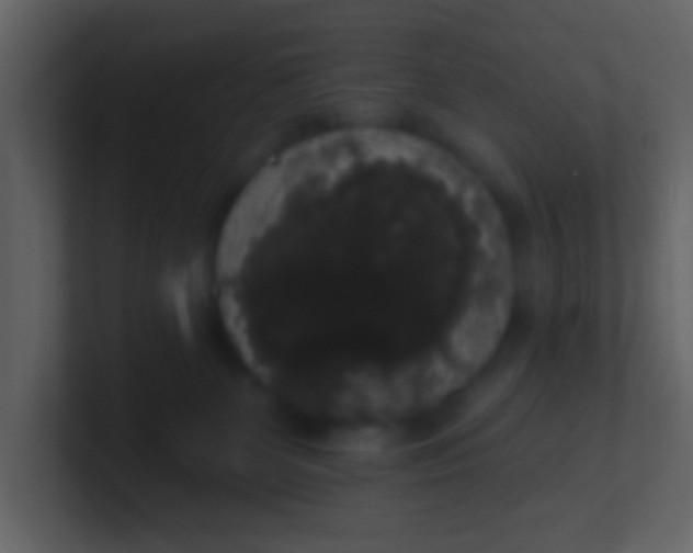 X0000100890131200807081049